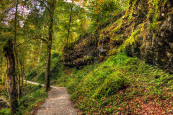 Картинка природа дороги тракт