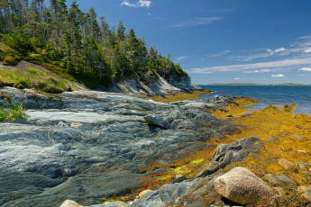 Картинка природа побережье берег море