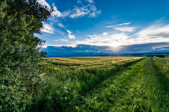 Картинка природа дороги тракт