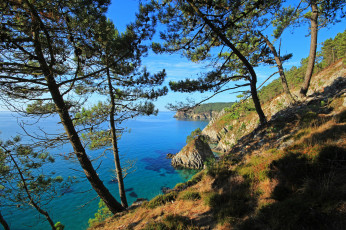 Картинка природа побережье берег море