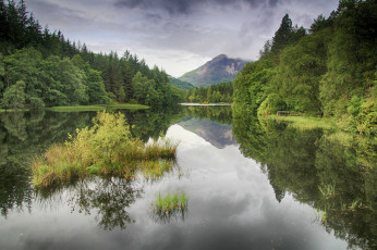 Картинка природа реки озера лес река