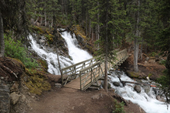 Картинка природа водопады лес река водопад