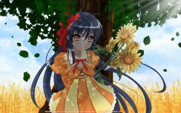Картинка аниме shakugan+no+shana девушка взгляд фон