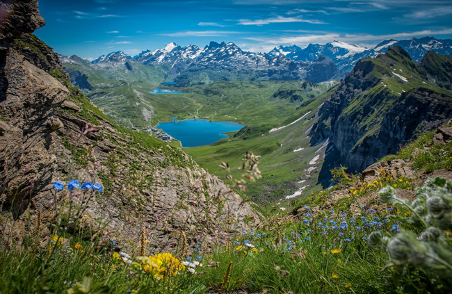 Обои картинки фото природа, реки, озера, река, лес