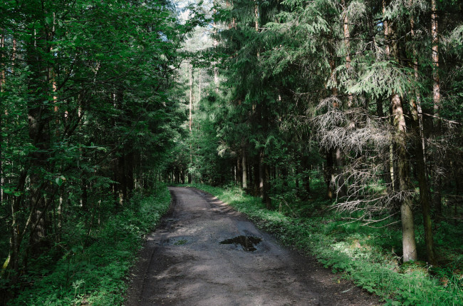 Обои картинки фото природа, дороги, тракт