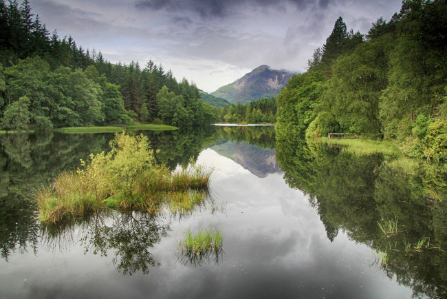 Обои картинки фото природа, реки, озера, лес, река