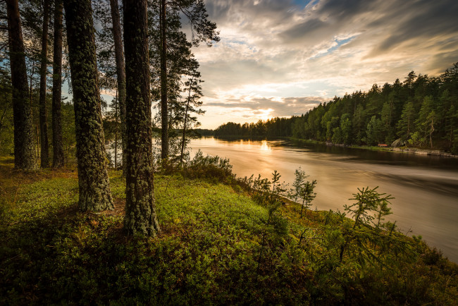Обои картинки фото природа, реки, озера, лес, река