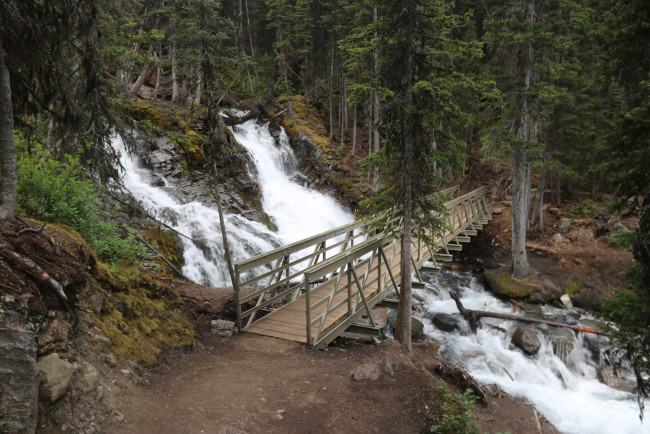 Обои картинки фото природа, водопады, лес, река, водопад