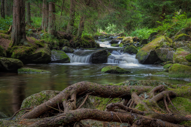 Обои картинки фото природа, водопады, река, водопад, лес