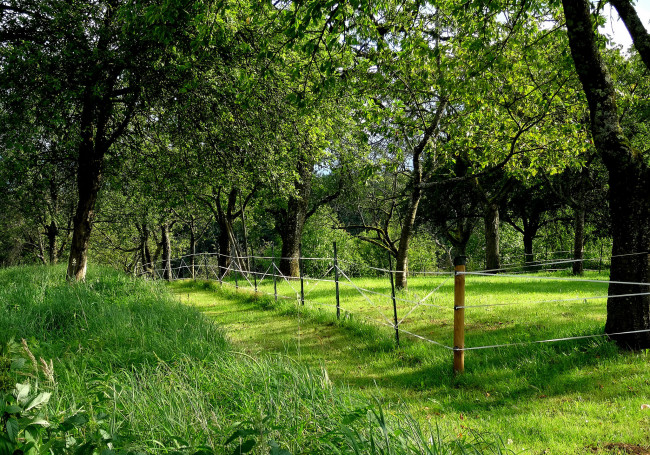 Обои картинки фото природа, дороги, тракт