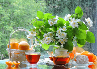 Картинка еда натюрморт чашка фрукты чай дождь чаепитие фото угощение стекло предметы окно жасмин чайник букет абрикосы лето зефир