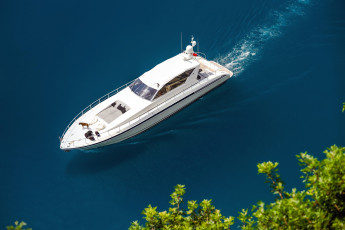 Картинка корабли Яхты море кусты собака вид сверху яхта солнце