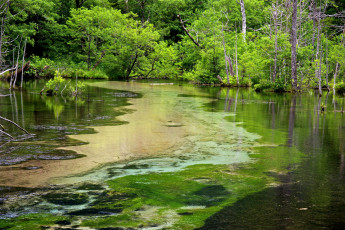 Картинка природа реки озера простор