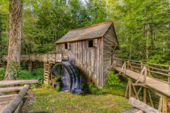 Картинка разное мельницы лес река