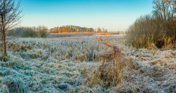 Картинка природа пейзажи простор