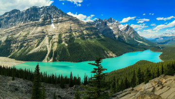 Картинка природа реки озера красота