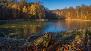 Картинка природа реки озера простор