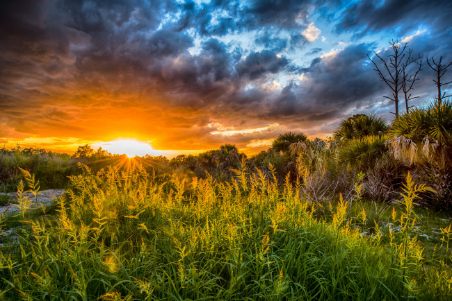 Обои картинки фото природа, восходы, закаты, рассвет