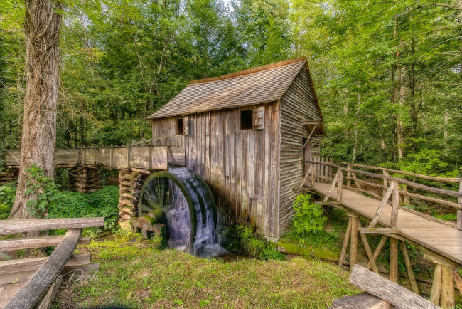 Обои картинки фото разное, мельницы, лес, река