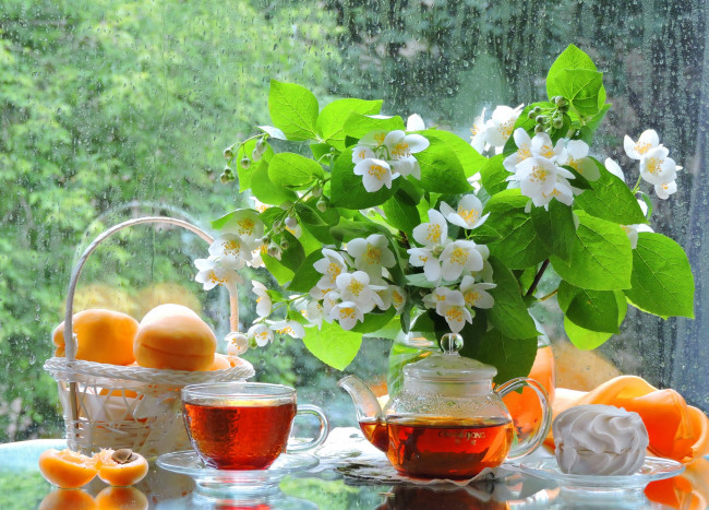 Обои картинки фото еда, натюрморт, чашка, фрукты, чай, дождь, чаепитие, фото, угощение, стекло, предметы, окно, жасмин, чайник, букет, абрикосы, лето, зефир