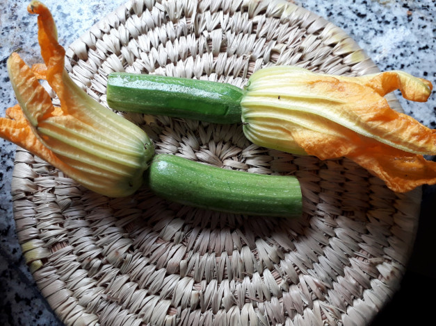 Обои картинки фото еда, кабачки,  цуккини,  патиссоны, цукини