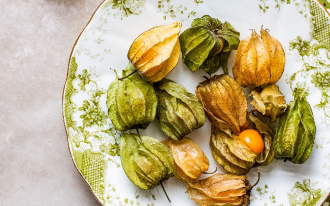 Обои картинки фото еда, физалис