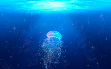 Картинка разное компьютерный+дизайн медуза