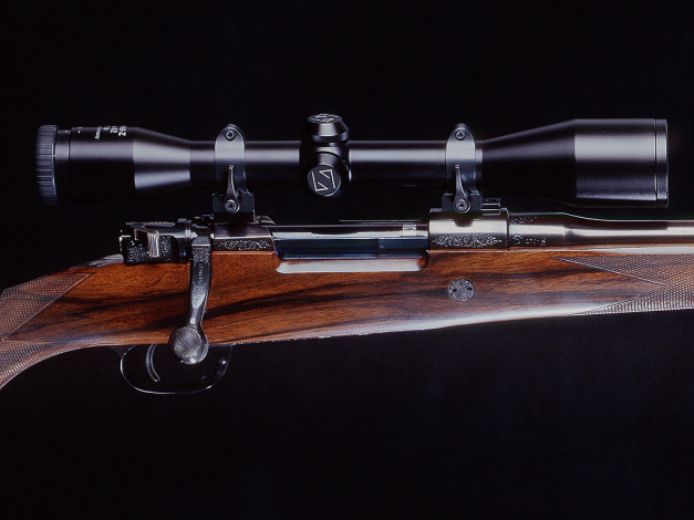 Обои картинки фото оружие