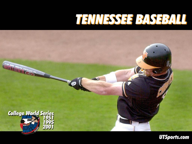 Обои картинки фото спорт, бейсбол