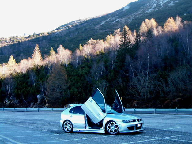 Обои картинки фото автомобили, seat