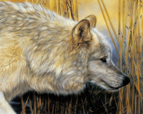 Картинка рисованные животные