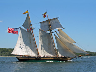 Картинка корабли парусники