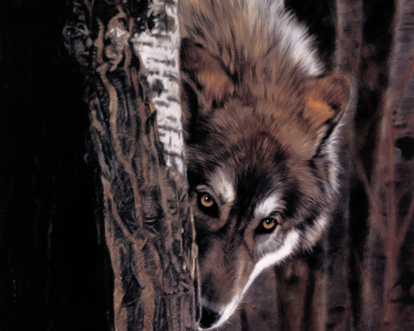 Обои картинки фото рисованные, животные