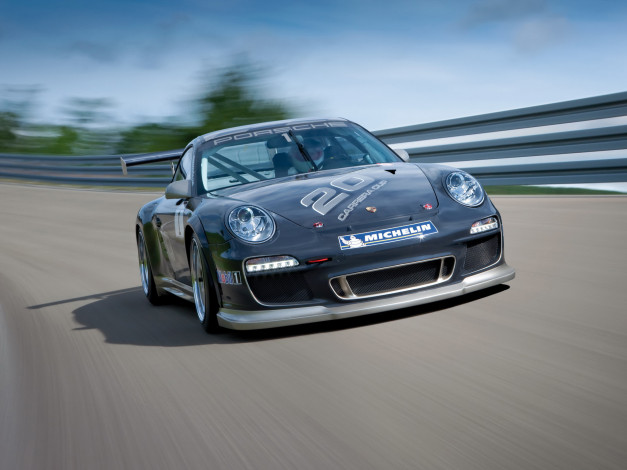 Обои картинки фото автомобили, porsche