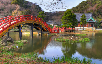 Картинка природа парк