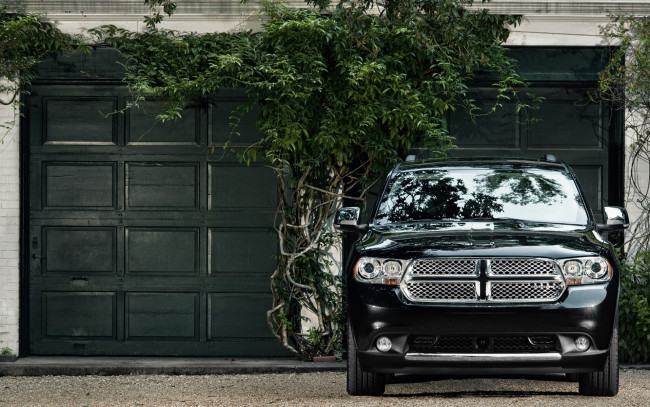 Обои картинки фото автомобили, dodge