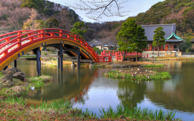 Обои картинки фото природа, парк