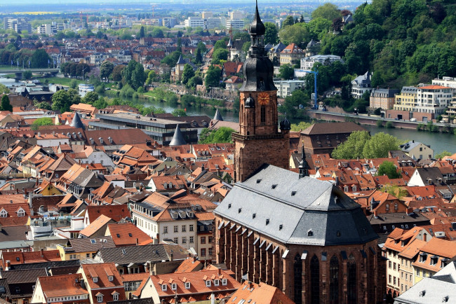 Обои картинки фото гейдельберг, германия, города, крыши, река, дома, башня, часы