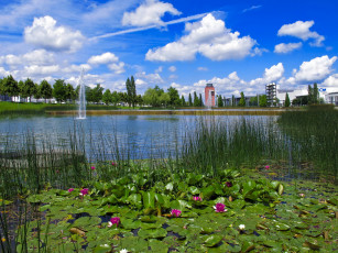 Картинка германия мюнхен парк природа