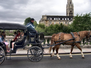 Картинка разное транспортные средства магистрали лошадь повозка