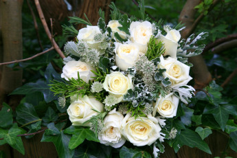 Картинка цветы букеты композиции плющ астрантия розы