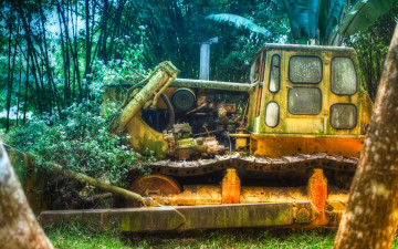 Картинка in the jungle техника бульдозеры ковш бульдозер