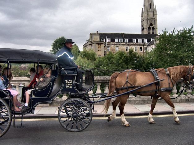 Обои картинки фото разное, транспортные, средства, магистрали, лошадь, повозка