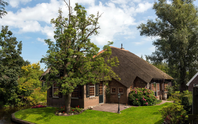 Обои картинки фото города, здания, дома, дом, дерево