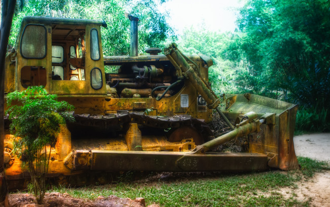Обои картинки фото in, the, jungle, техника, бульдозеры, тяжелая
