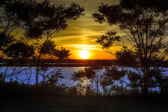 Картинка природа восходы закаты деревья река солнце тучи свет