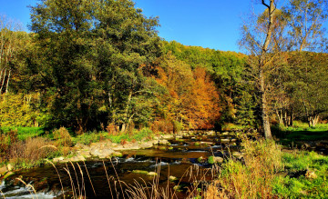 Картинка природа реки озера лес река камни трава