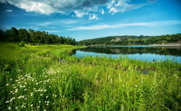 Картинка природа реки озера облака река лес берег луг трава цветы