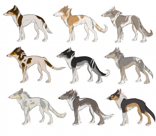 Обои картинки фото рисованные, животные, собаки