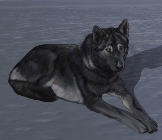 Обои картинки фото рисованные, животные, собаки, собака